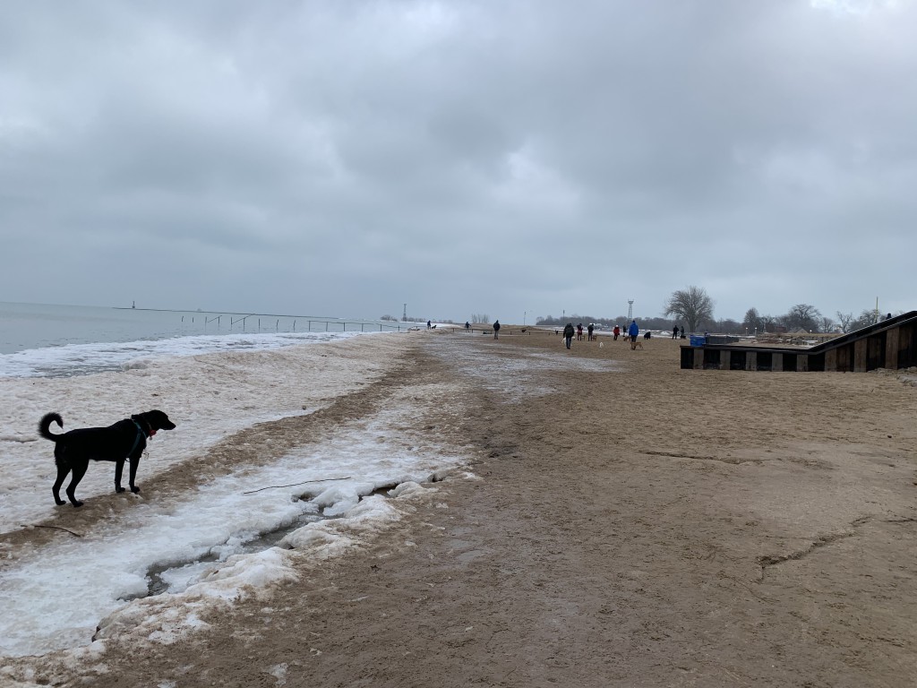 Montrose Dog Park