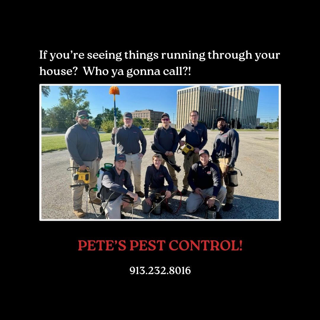 Pete's Pest Control